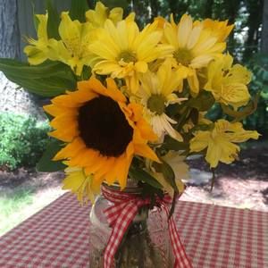 Meet your Posher, Ana